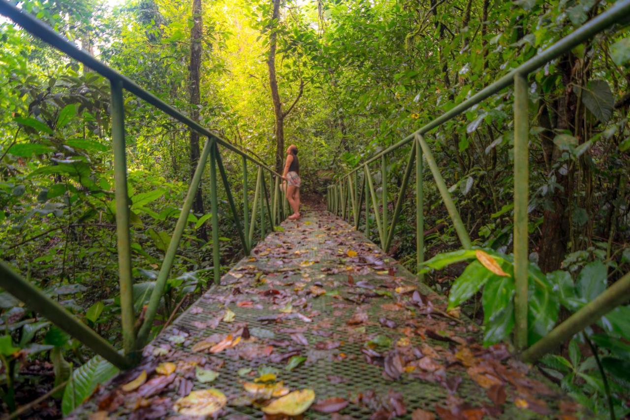 Avita Lodge Quesada  Dış mekan fotoğraf