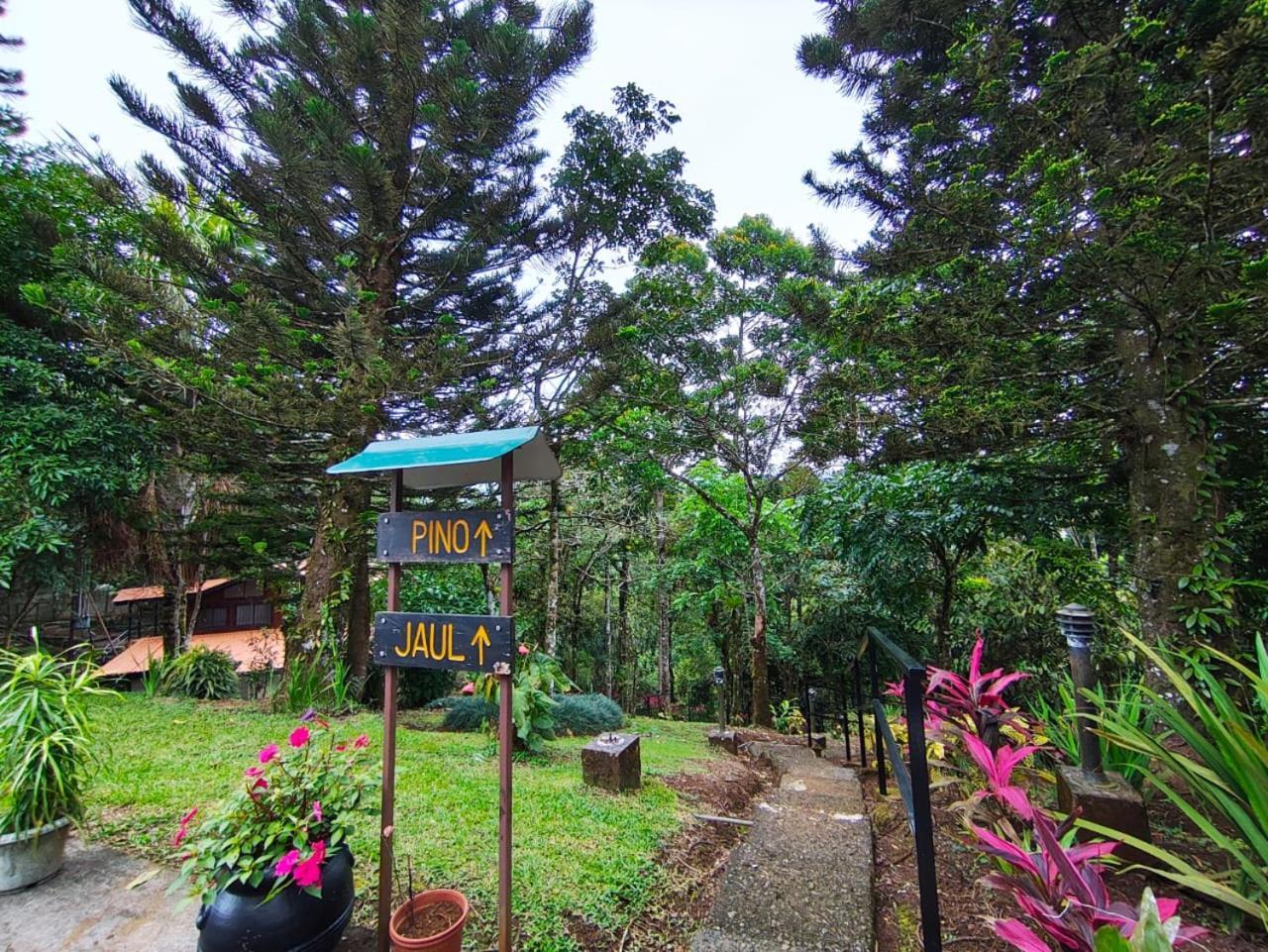 Avita Lodge Quesada  Dış mekan fotoğraf
